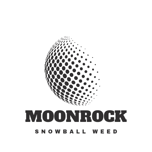 Moonrock Snowballs Shop